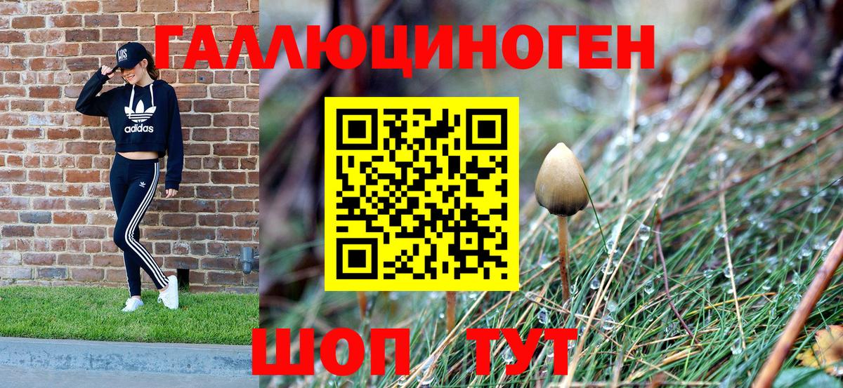 Саранск  Псилоцибиновые грибы Psilocybine cubensis  Вход с VPN 